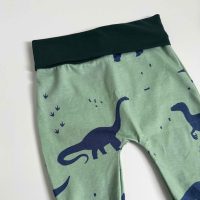 dinosauri part - 1